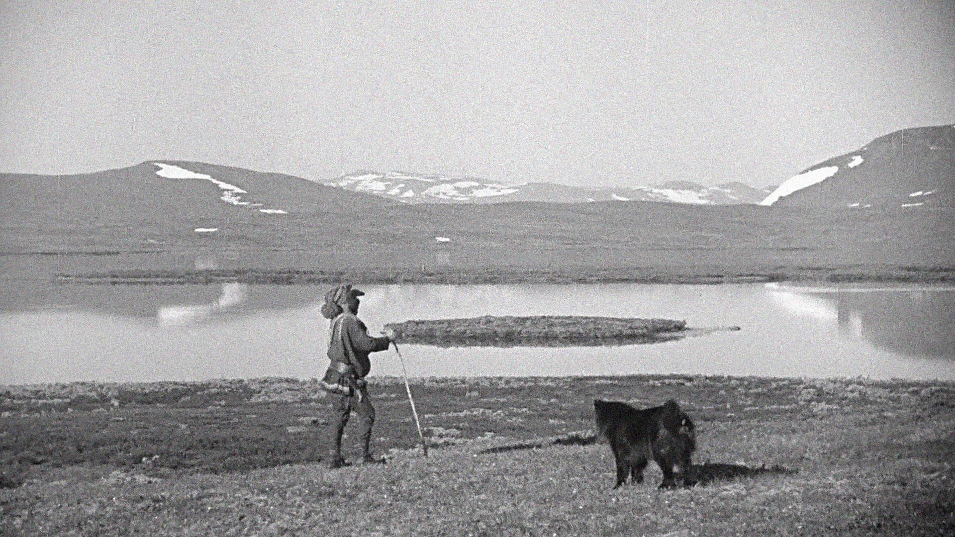 Scen från I lapplandsbjörnens rike
